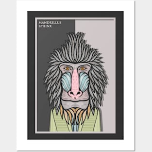 Mandrill Posters and Art